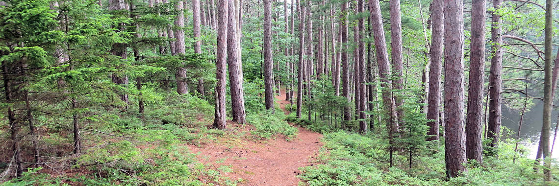 Vermont path
